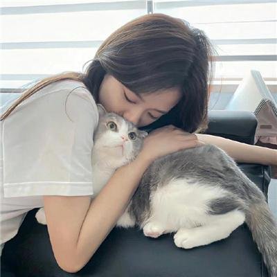 天网记