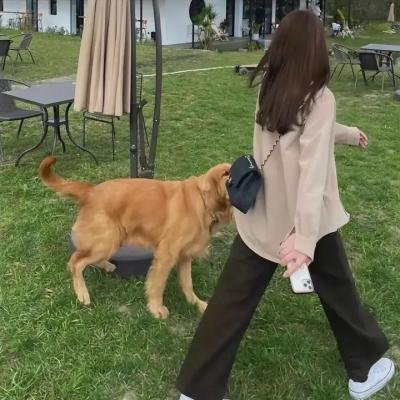 买手枪